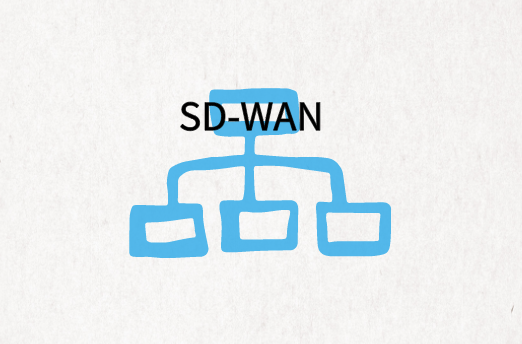 國內企業(yè)SD-WAN組網