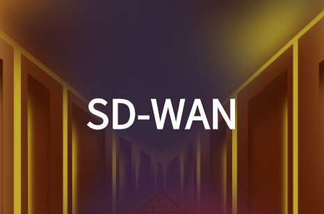 云杰SD-WAN解決方案：實現跨國企業(yè)網絡組網互聯