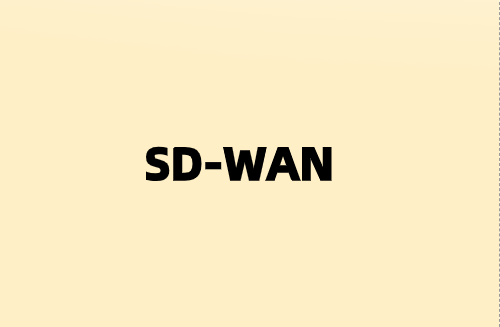 通過SD-WAN為分支機構企業(yè)實現遠程連接