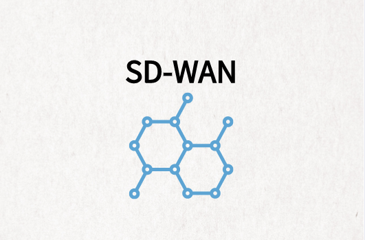 企業(yè)分支SD-WAN組網解決方案