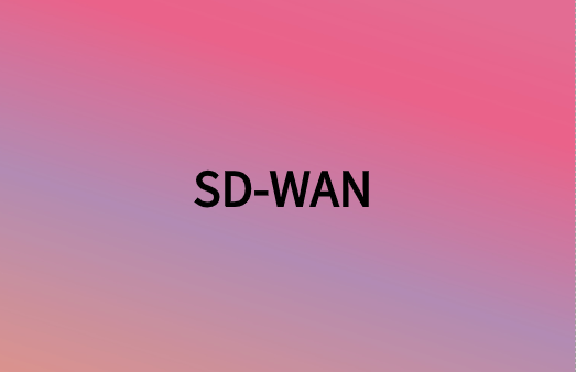 除連接性外，SD-WAN還提供很多網(wǎng)絡(luò)優(yōu)勢